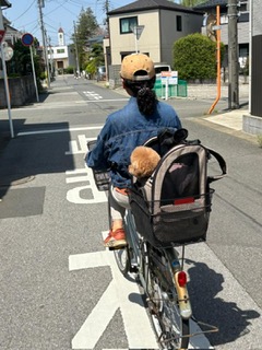 on the way